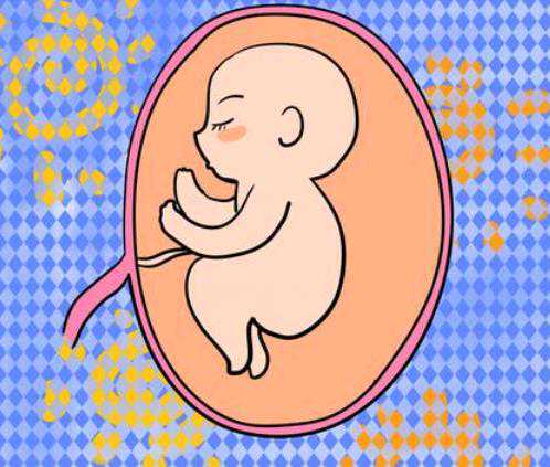 郑州包成功代孕中介|威海市妇幼保健院试管