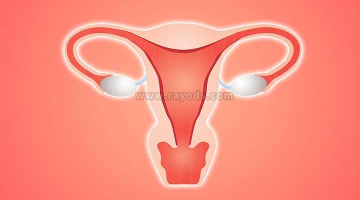 南岸借卵选性别_泰国试管胚胎移植前宫腔灌注HCG能提高妊娠率？