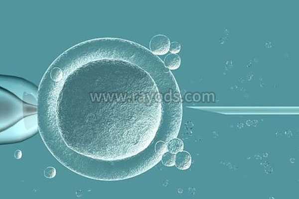 酒泉借卵子要多少钱_酒泉借卵怀孕_试管婴儿胚胎移植有哪几种移植方式?