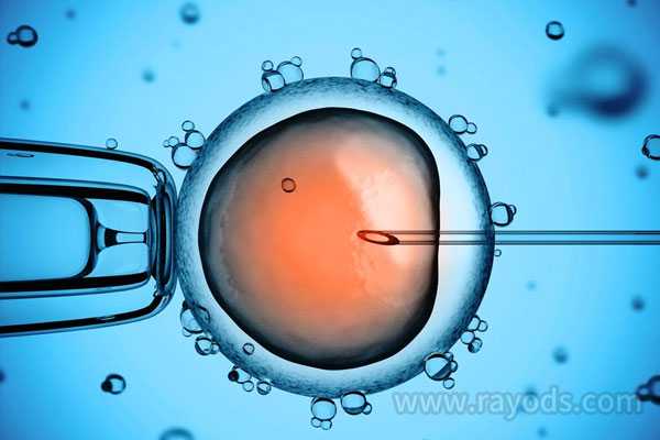 染色体异常老胎停_弱精怎样快速怀孕_输卵管真的可以通吗？为什么医院一般都