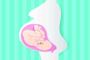 供卵的孩子_生殖中心可以供卵试管_离职后生育保险怎么办