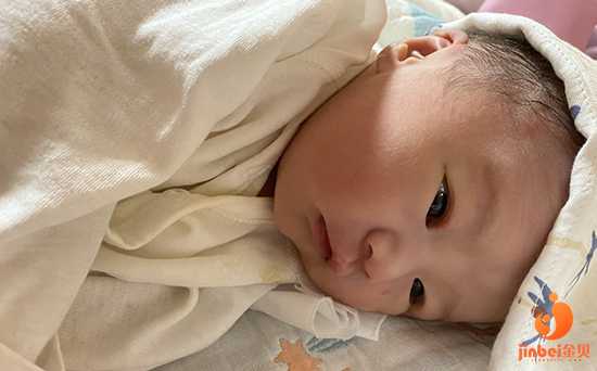 璧山借卵生子有必要吗_武汉同济医院生殖医学中心能做供卵试管婴儿吗？