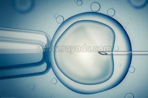 胚胎发育缓慢_双角子宫怀孕经历_柬埔寨试管的哪些环节容易失败?需要怎么注意