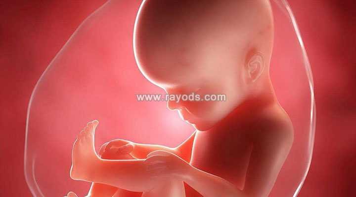 日喀则地52岁借卵生子_日喀则地借卵生子的风险_做试管婴儿对精子质量的要求