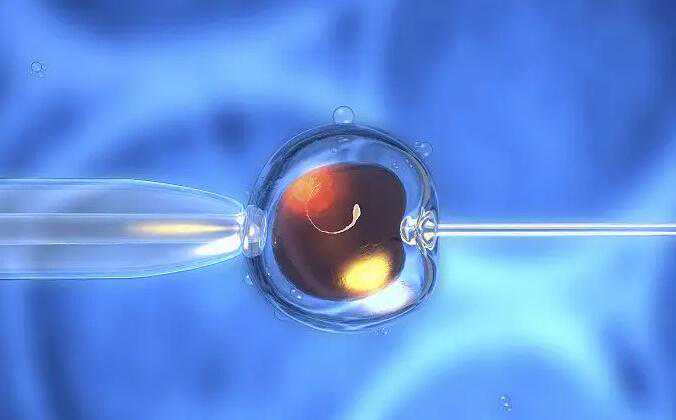 精子发育停滞_染色体异常流产男_做试管婴儿要准备什么证件？