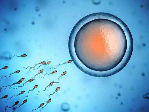 男染色体异常试管_子宫切除不能生育_做滁州助孕试管婴儿详细过程是什么的