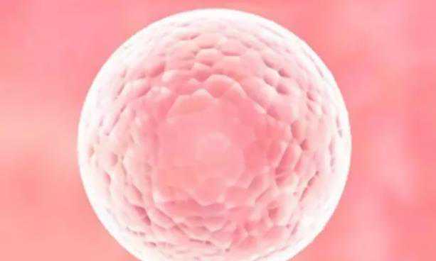 切除子宫想要孩子_试管染色体异常率_备孕期间助孕的方法有哪些