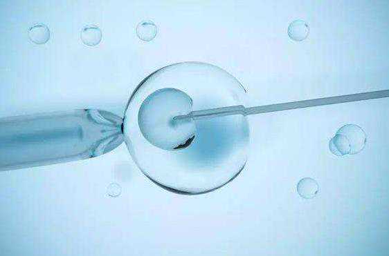 阴道狭窄_染色体异常对试管_做试管时子宫内膜厚度到多少适合移植？