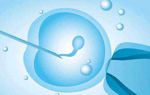 专业郑州助孕网 2022郑州大学第三附属医院做三代试管婴儿移植两个鲜胚多少钱