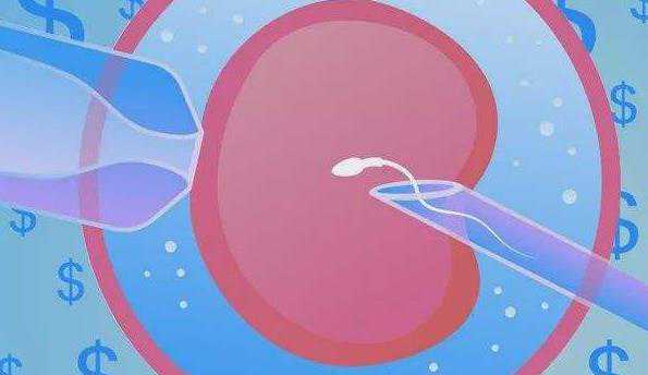 郑州捐卵中介 郑州做试管促排卵会不会透支卵巢功能? ‘孕囊大小看男女的公式