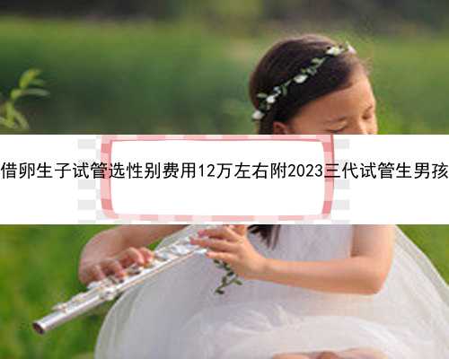 河南郑州借卵生子试管选性别费用12万左右附2023三代试管生男孩最新收费