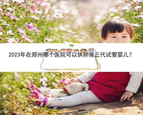 2023年在郑州哪个医院可以供卵做三代试管婴儿？