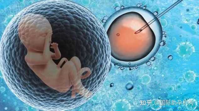 2022郑州供卵的私立机构最新发布，附供卵三代生男孩费用详情_甲胎蛋白是检查