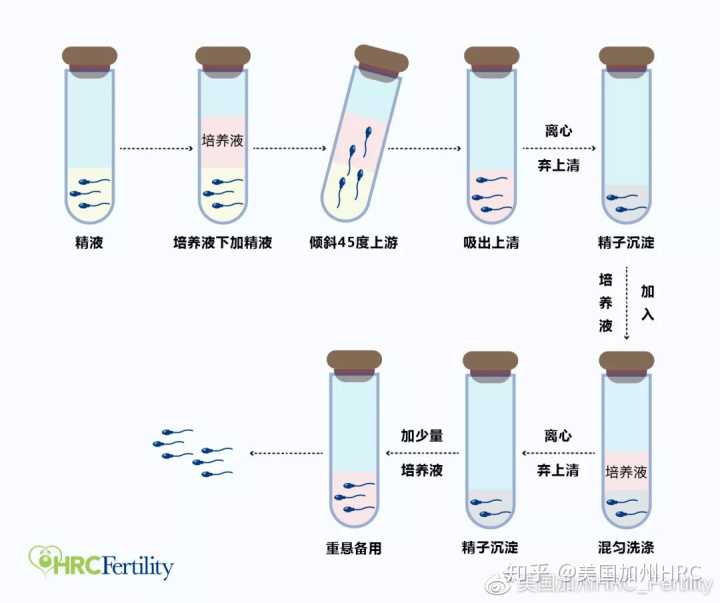 郑州协和医院生殖中心试管冻囊胚移植成功率高吗？